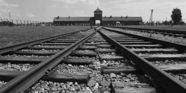 Auschwitz - tory