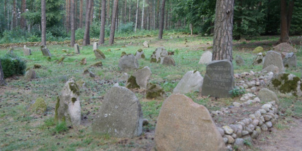 Cmentarz muzułmański w Kruszynianach (fot. Michał Karski)
