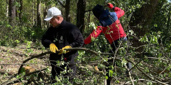 Abp Grzegorz Ryś podczas sprzątania żydowskiego cmentarza w Przysusze, maj 2023. Fot. Radosław Ptaszyński