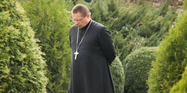 Kard. Grzegorz Ryś
