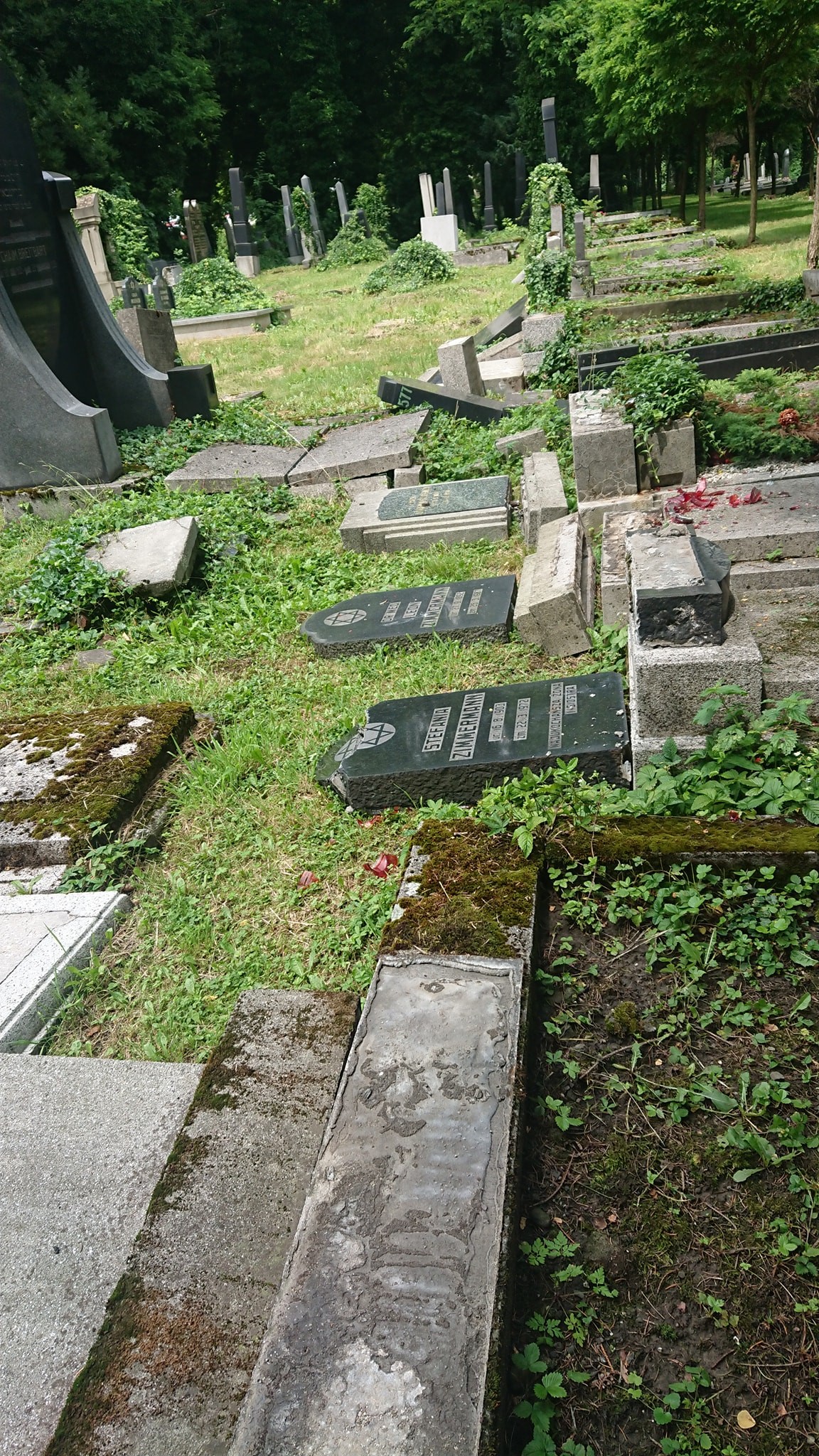 2021-06-29-zdemolowany-cmentarz-zydowski-w-bielsku-bialej-2.jpg